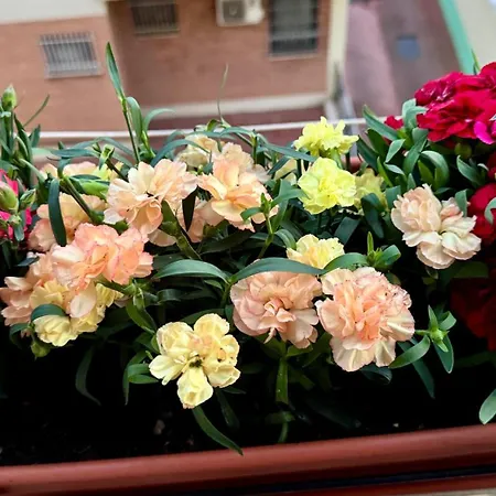 דירה Elodie Deluxe -15 Min Colosseum Metro - Center -parking-balcony רומא